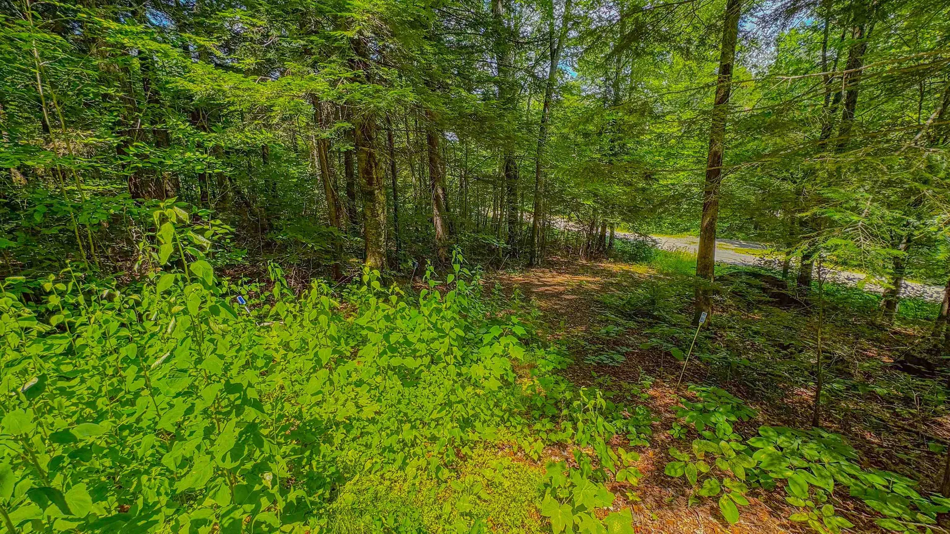 148 Summit View Drive Tamworth NH 03886