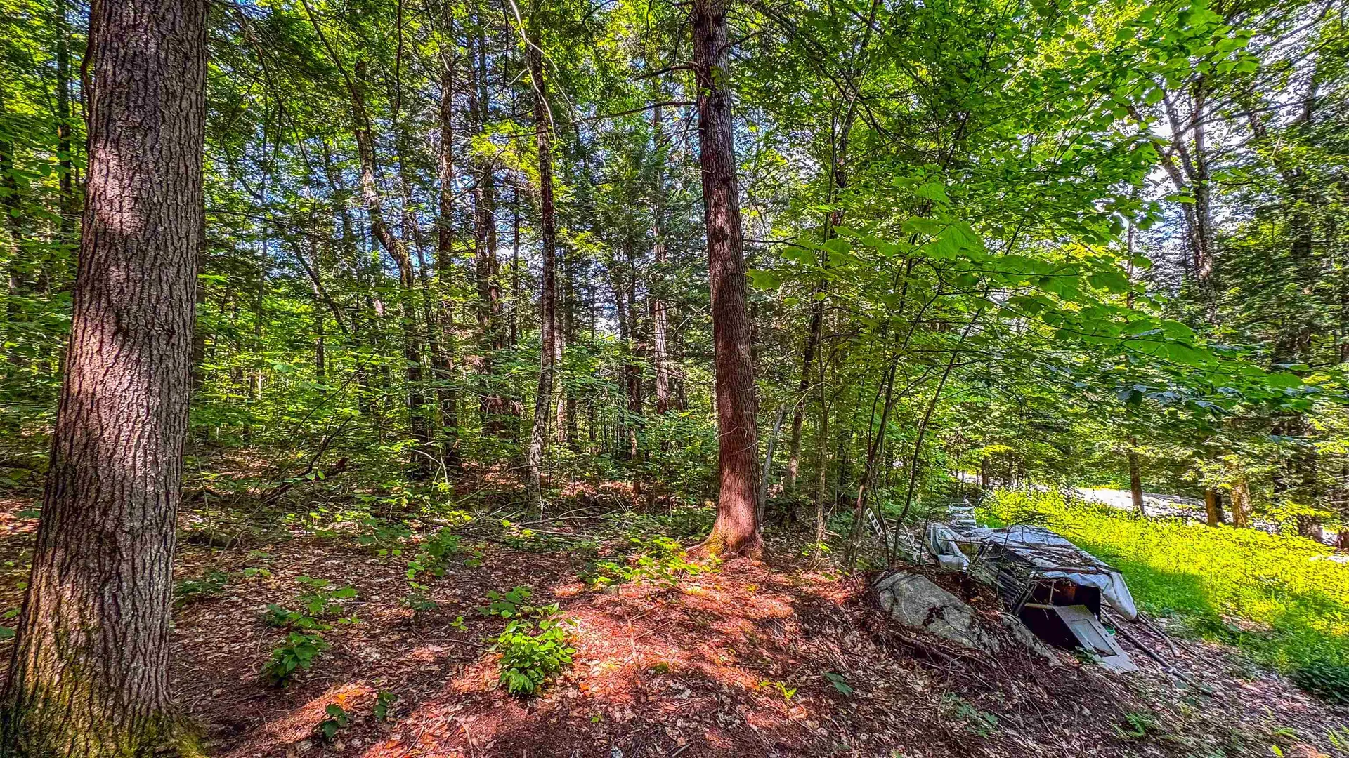 148 Summit View Drive Tamworth NH 03886