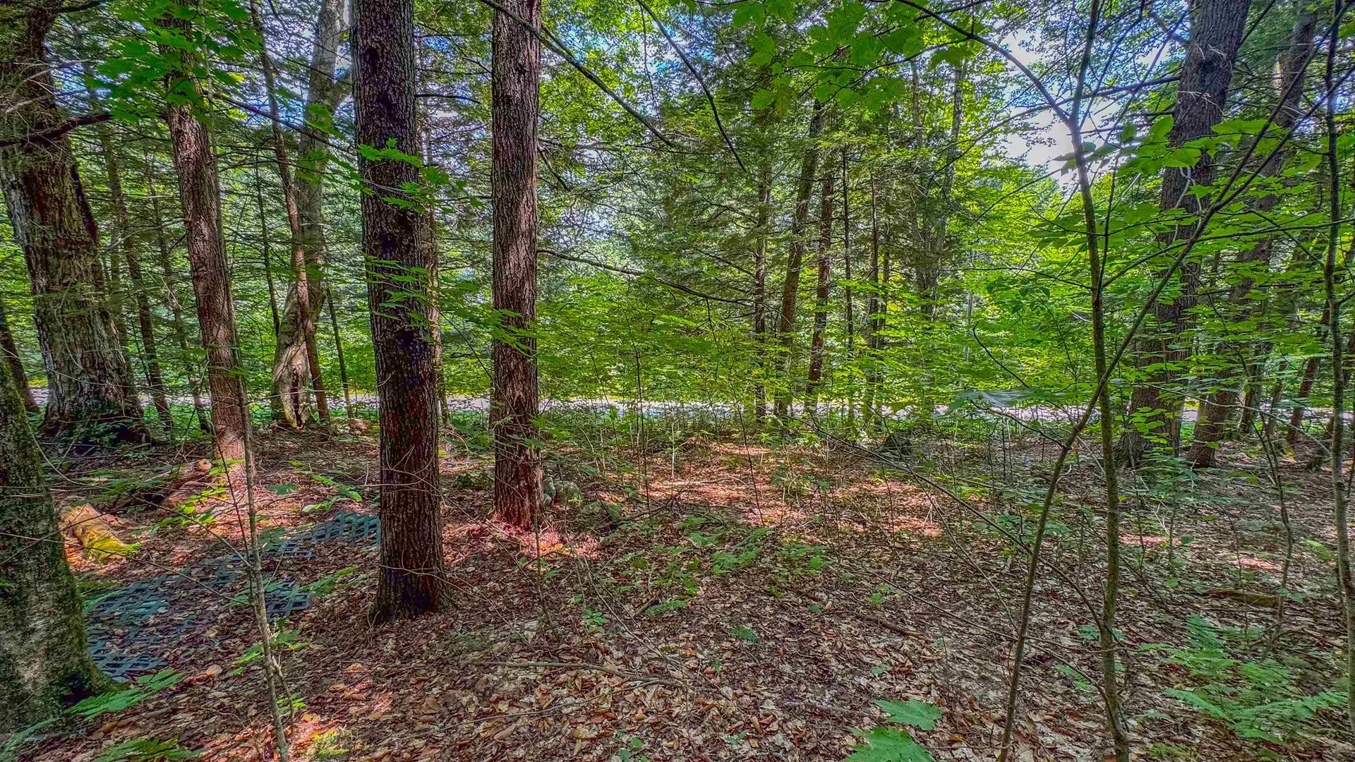 148 Summit View Drive Tamworth NH 03886