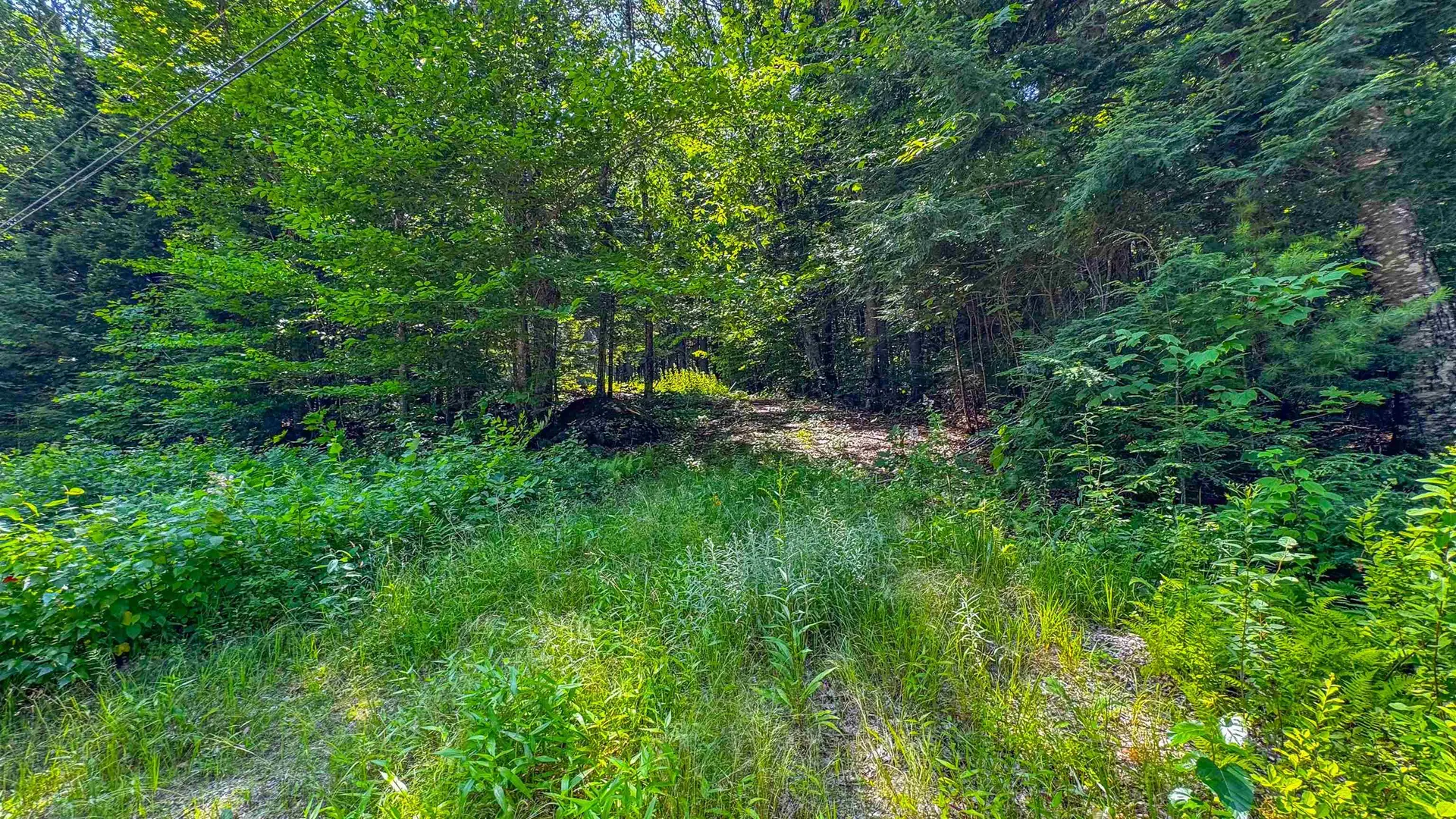 148 Summit View Drive Tamworth NH 03886