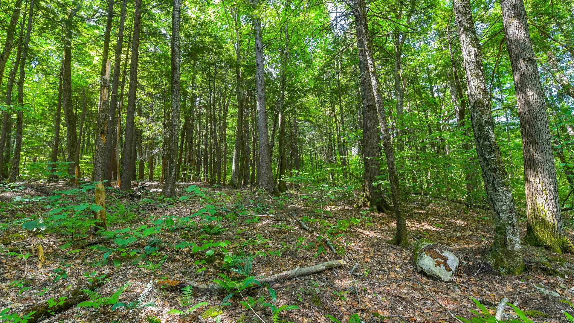 148 Summit View Drive Tamworth NH 03886