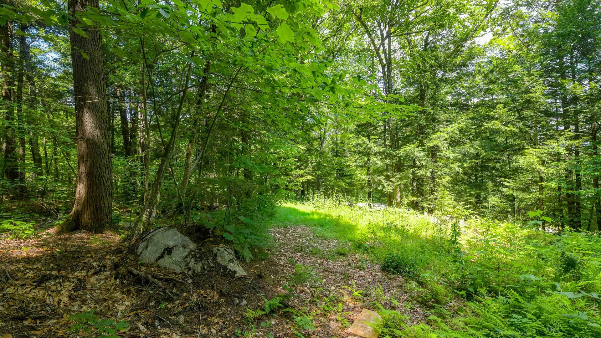 148 Summit View Drive Tamworth NH 03886