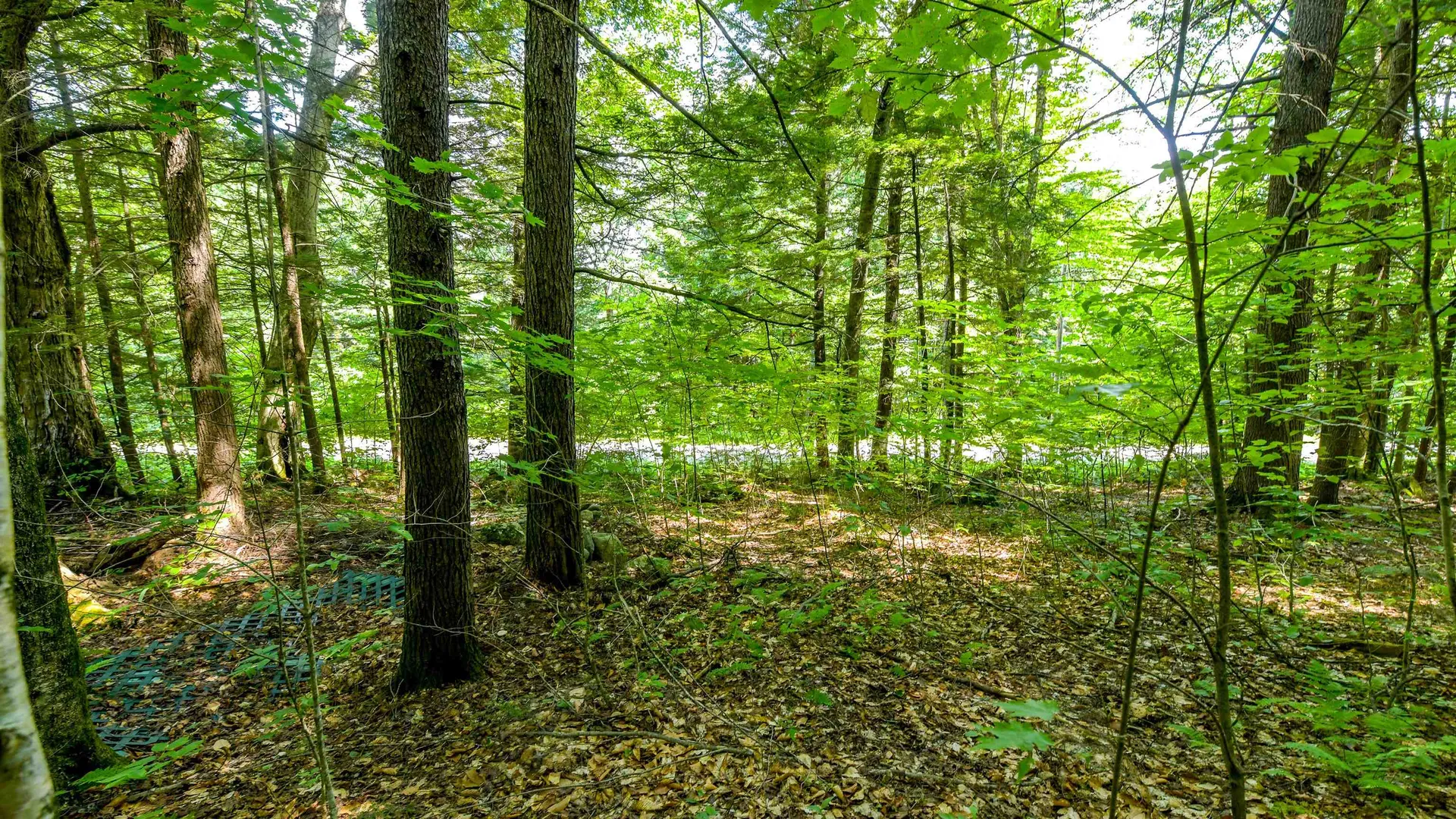 148 Summit View Drive Tamworth NH 03886
