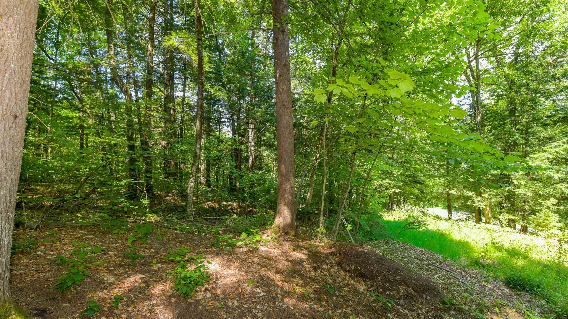 148 Summit View Drive Tamworth NH 03886