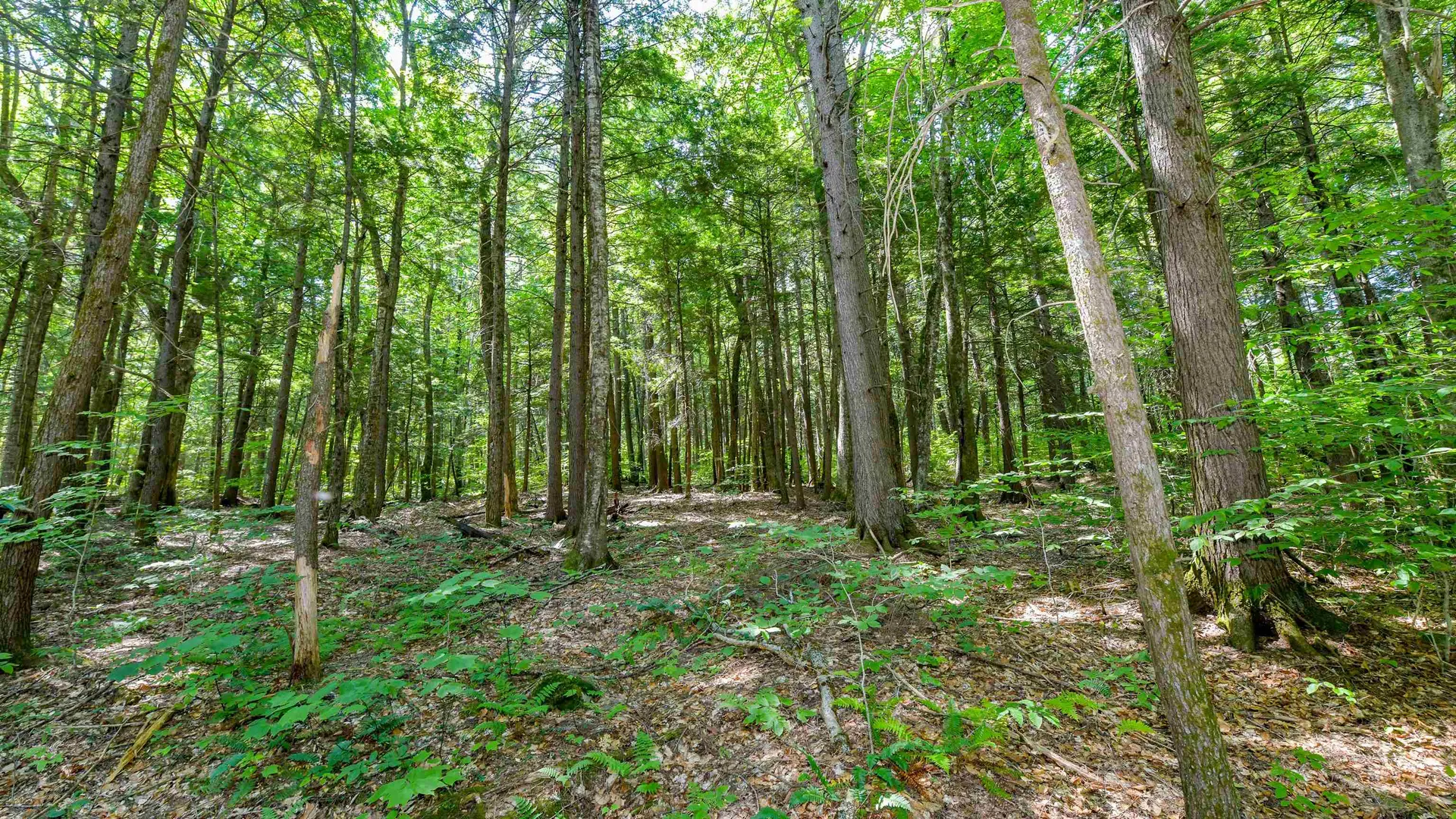 148 Summit View Drive Tamworth NH 03886