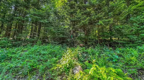 148 Summit View Drive Tamworth NH 03886