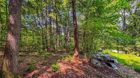 148 Summit View Drive Tamworth NH 03886