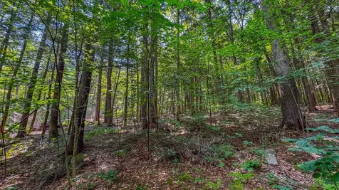 148 Summit View Drive Tamworth NH 03886
