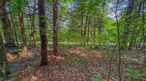 148 Summit View Drive Tamworth NH 03886