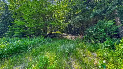 148 Summit View Drive Tamworth NH 03886