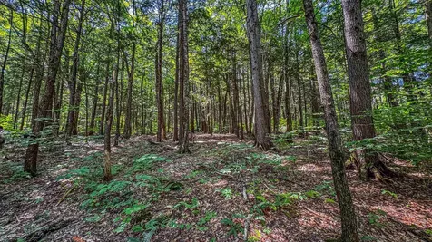 148 Summit View Drive Tamworth NH 03886