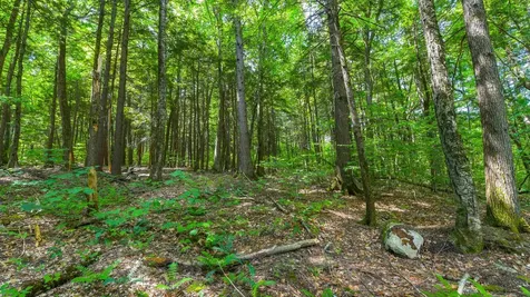 148 Summit View Drive Tamworth NH 03886