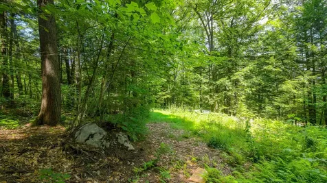 148 Summit View Drive Tamworth NH 03886