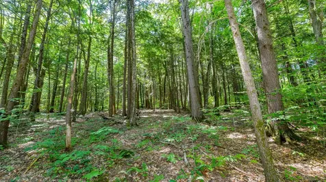 148 Summit View Drive Tamworth NH 03886