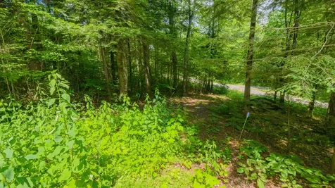 148 Summit View Drive Tamworth NH 03886