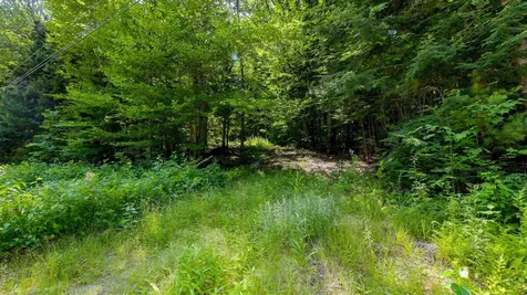 148 Summit View Drive Tamworth NH 03886