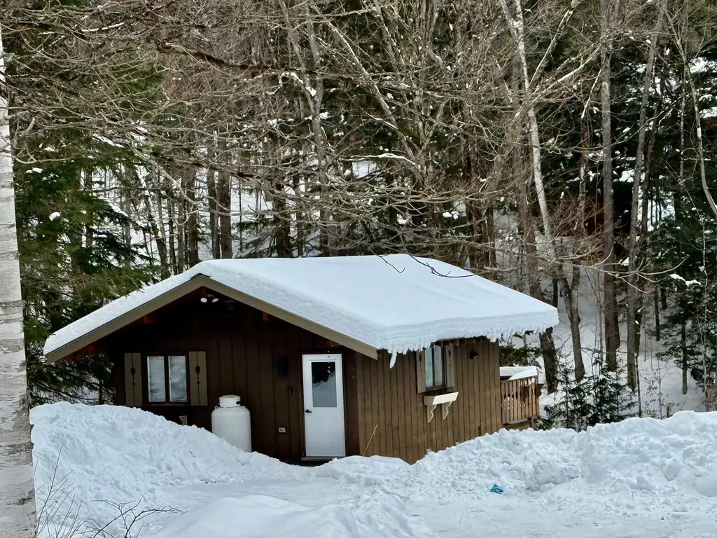 41 Cranberry Hill Road Winhall VT 05340