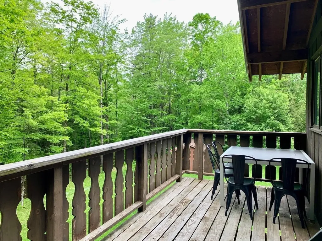 41 Cranberry Hill Road Winhall VT 05340
