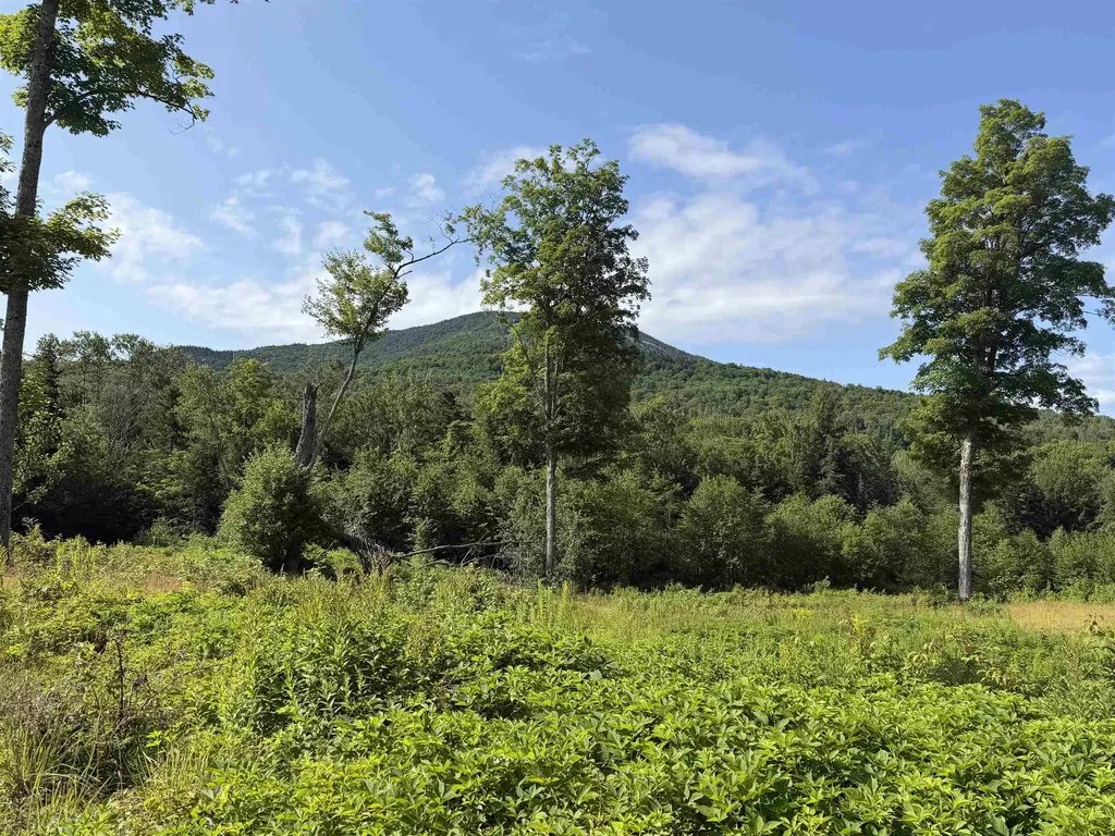 1559 Pinkham Road Burke VT 05832