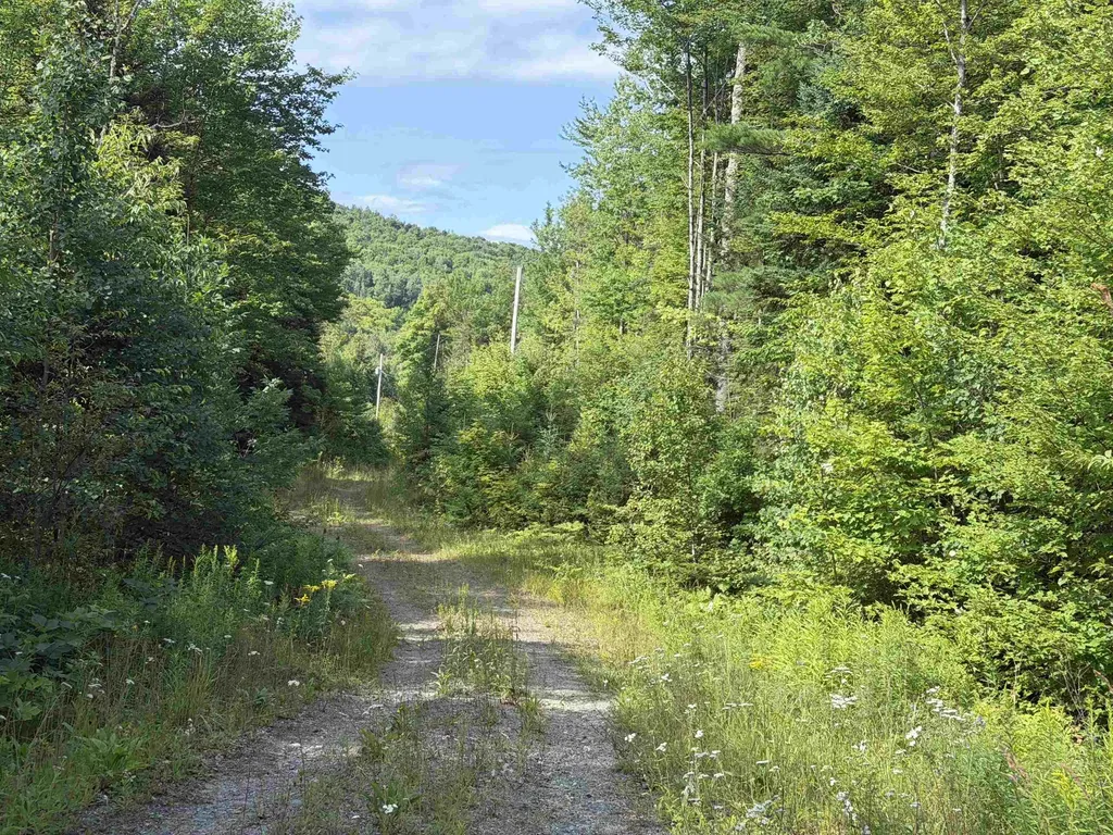 1559 Pinkham Road Burke VT 05832