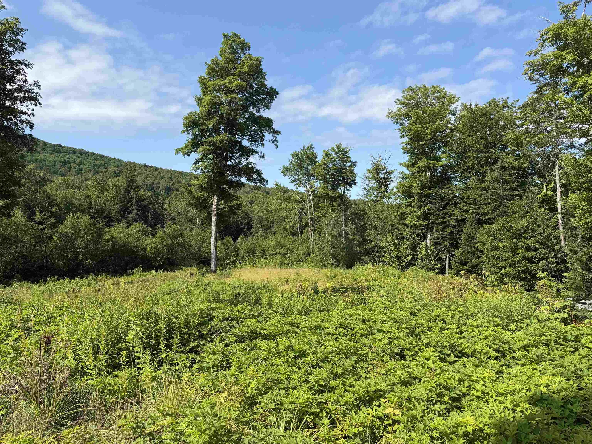 1559 Pinkham Road Burke VT 05832