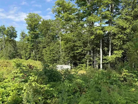 1559 Pinkham Road Burke VT 05832