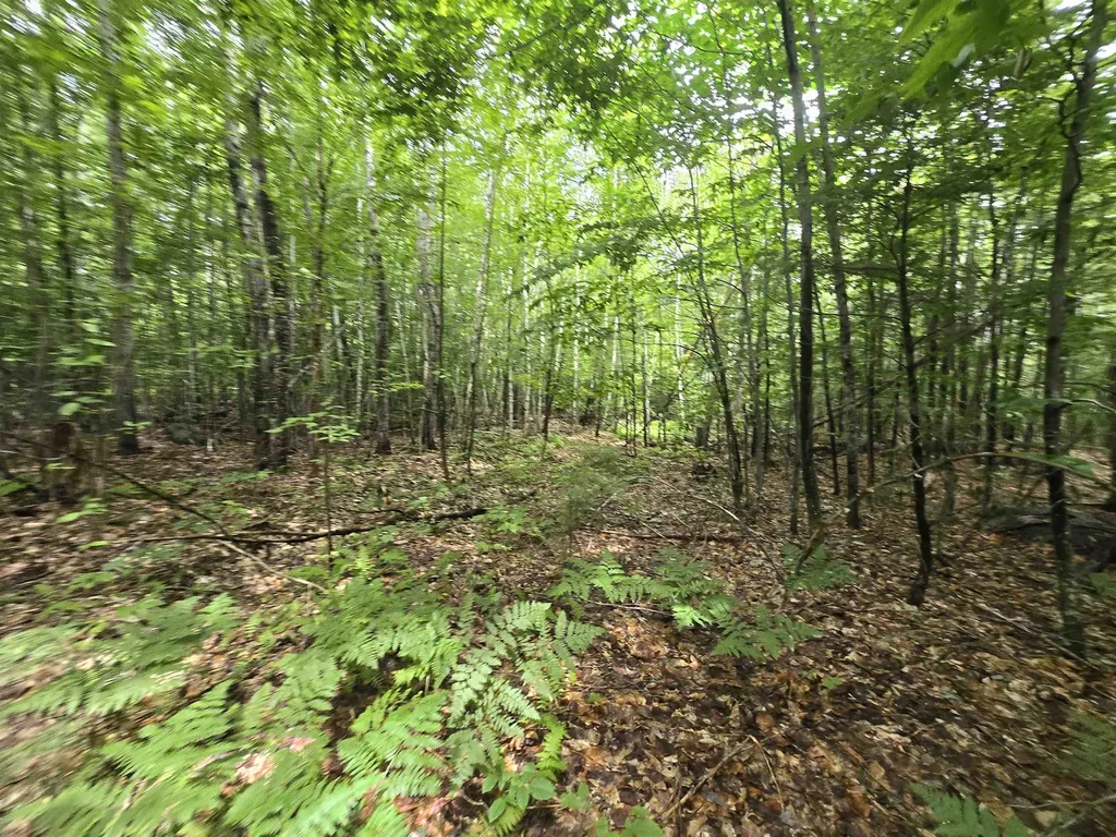 Lot 11 Brownfield Road Conway NH 03813
