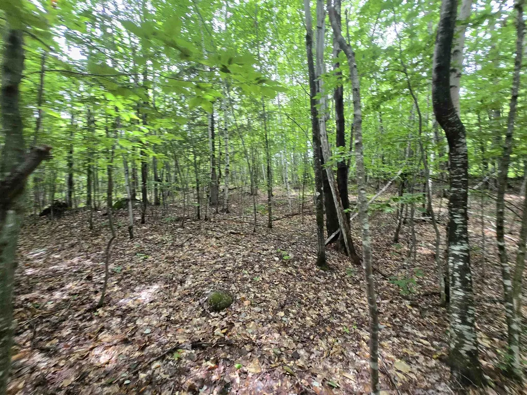 Lot 11 Brownfield Road Conway NH 03813