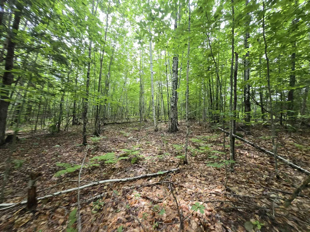 Lot 11 Brownfield Road Conway NH 03813