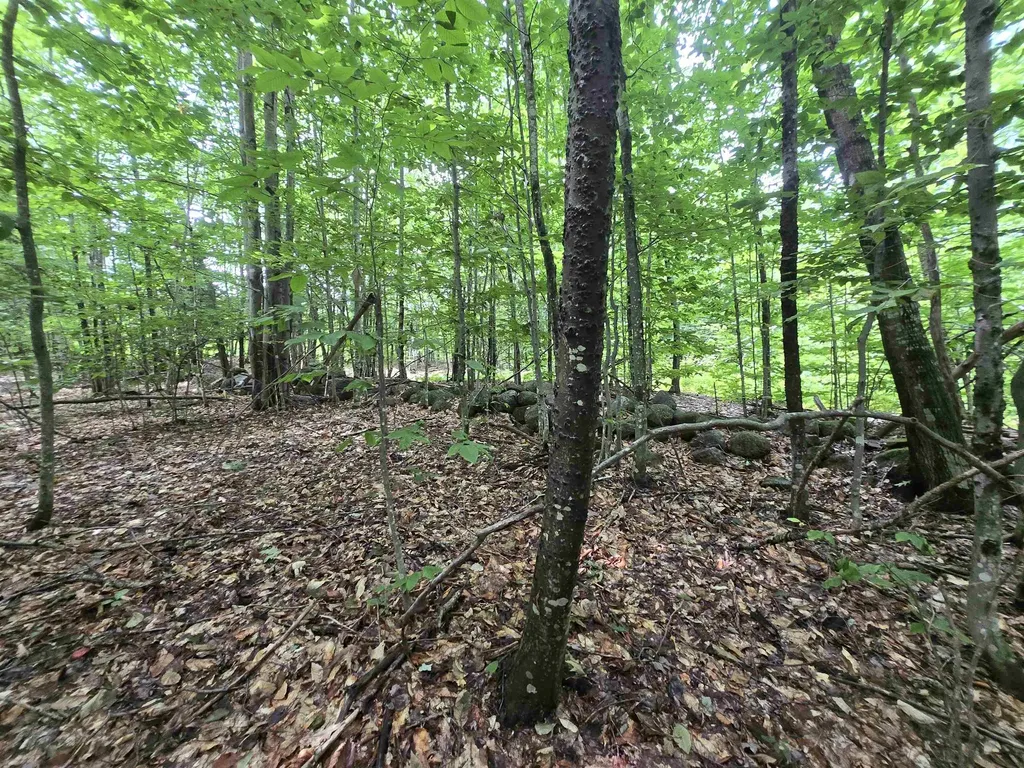 Lot 11 Brownfield Road Conway NH 03813