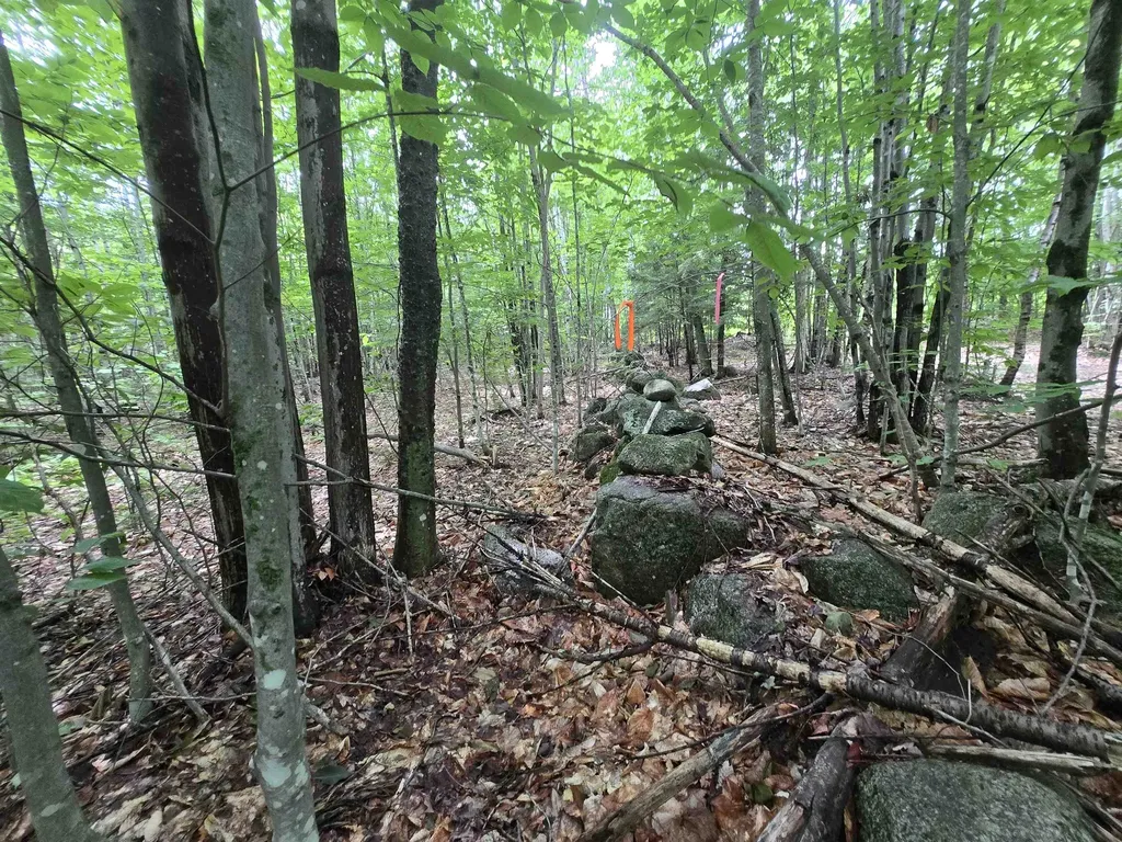 Lot 11 Brownfield Road Conway NH 03813