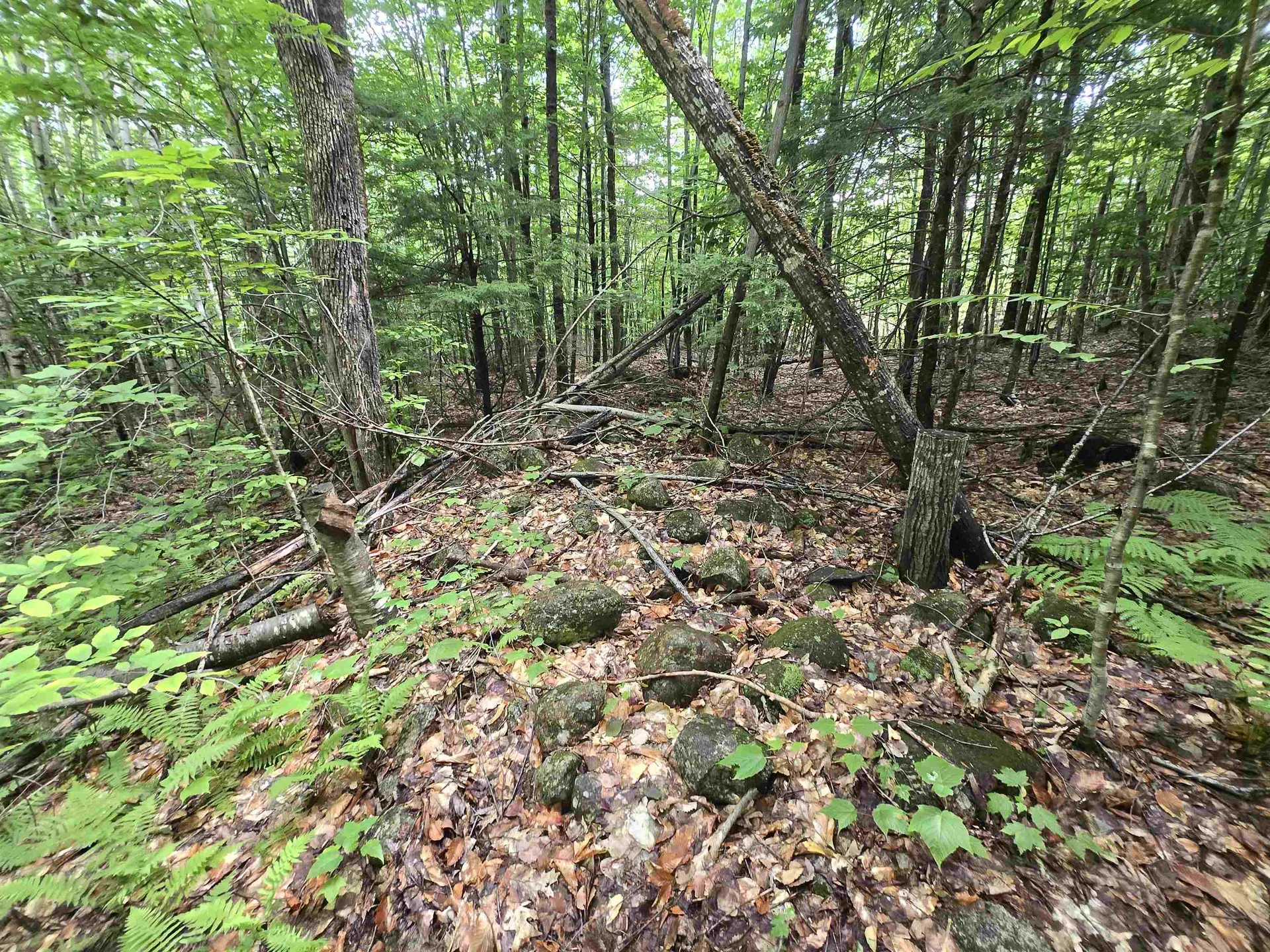 Lot 11 Brownfield Road Conway NH 03813