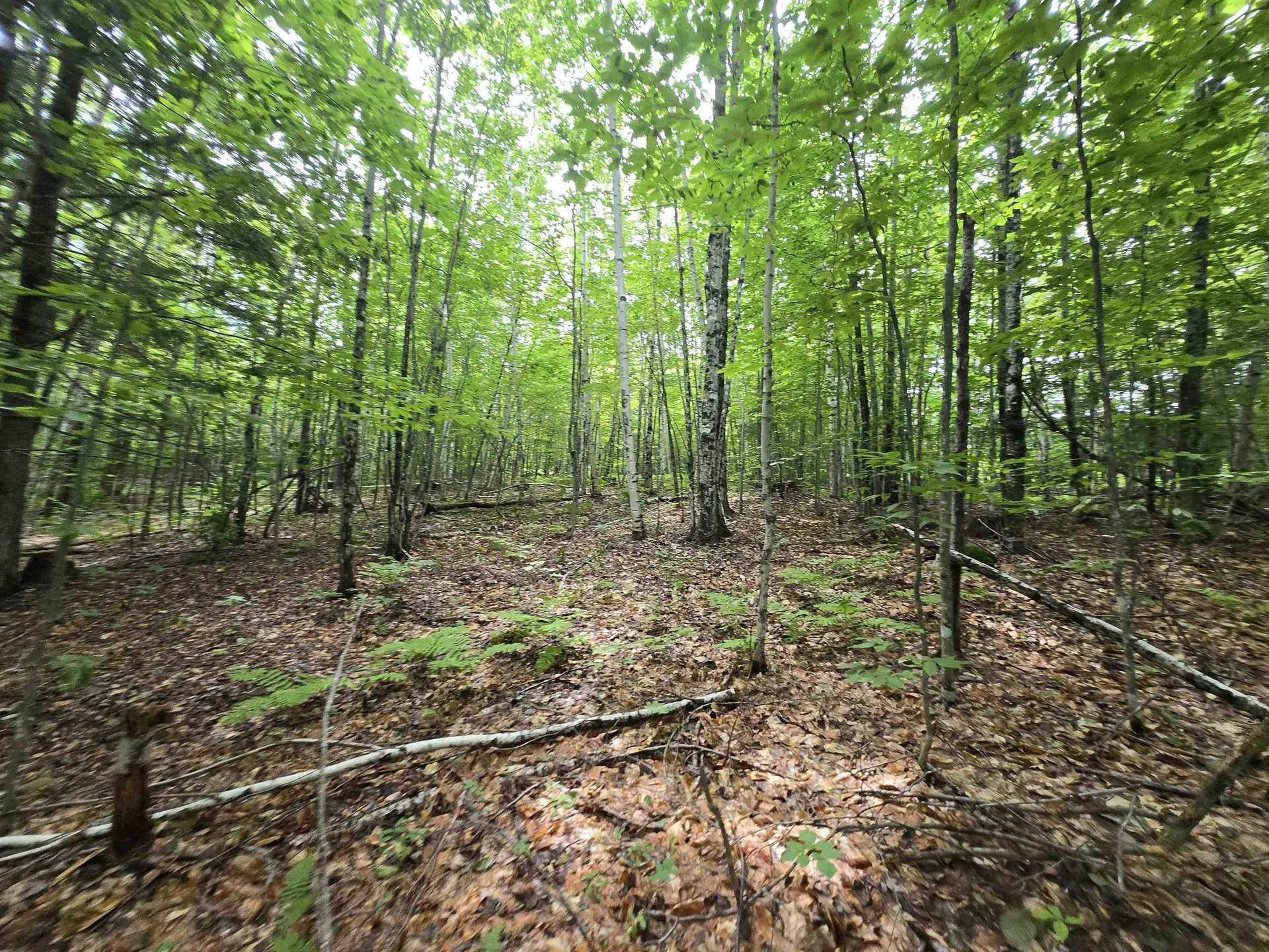 Lot 11 Brownfield Road Conway NH 03813