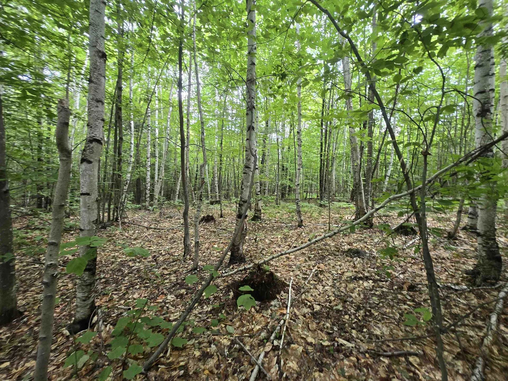 Lot 11 Brownfield Road Conway NH 03813