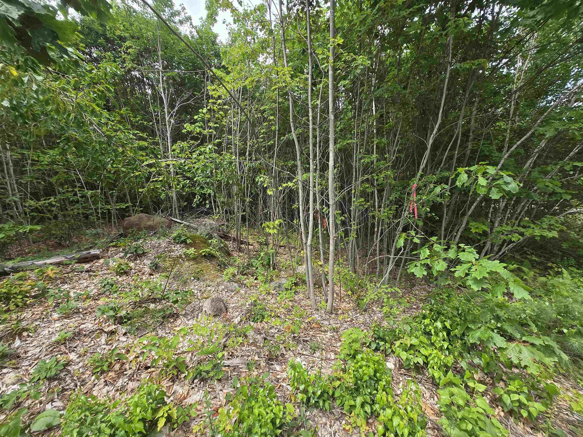 Lot 11 Brownfield Road Conway NH 03813