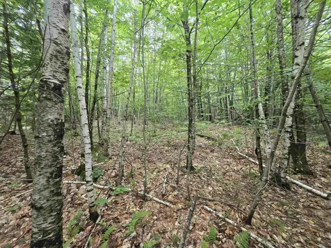 Lot 11 Brownfield Road Conway NH 03813