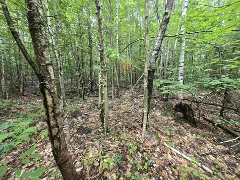Lot 11 Brownfield Road Conway NH 03813