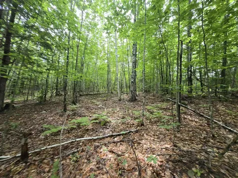 Lot 11 Brownfield Road Conway NH 03813