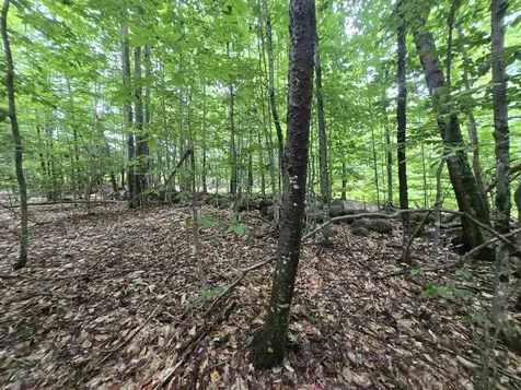 Lot 11 Brownfield Road Conway NH 03813