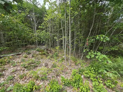 Lot 11 Brownfield Road Conway NH 03813