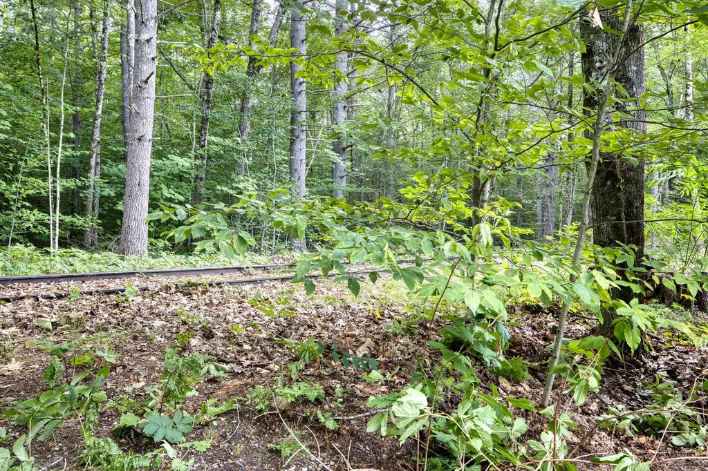 32 Circle Road Ossipee NH 03814-6846
