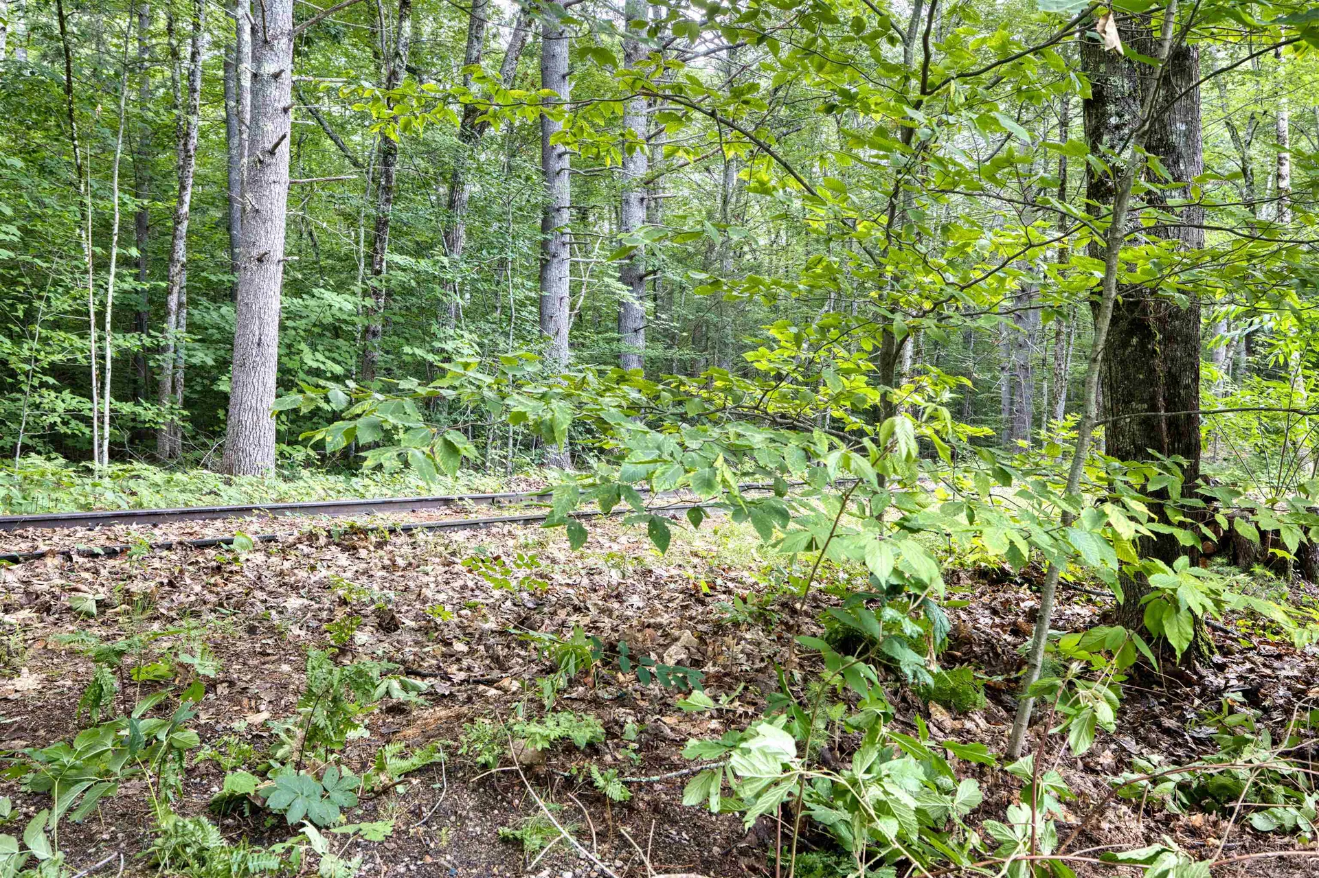 32 Circle Road Ossipee NH 03814-6846