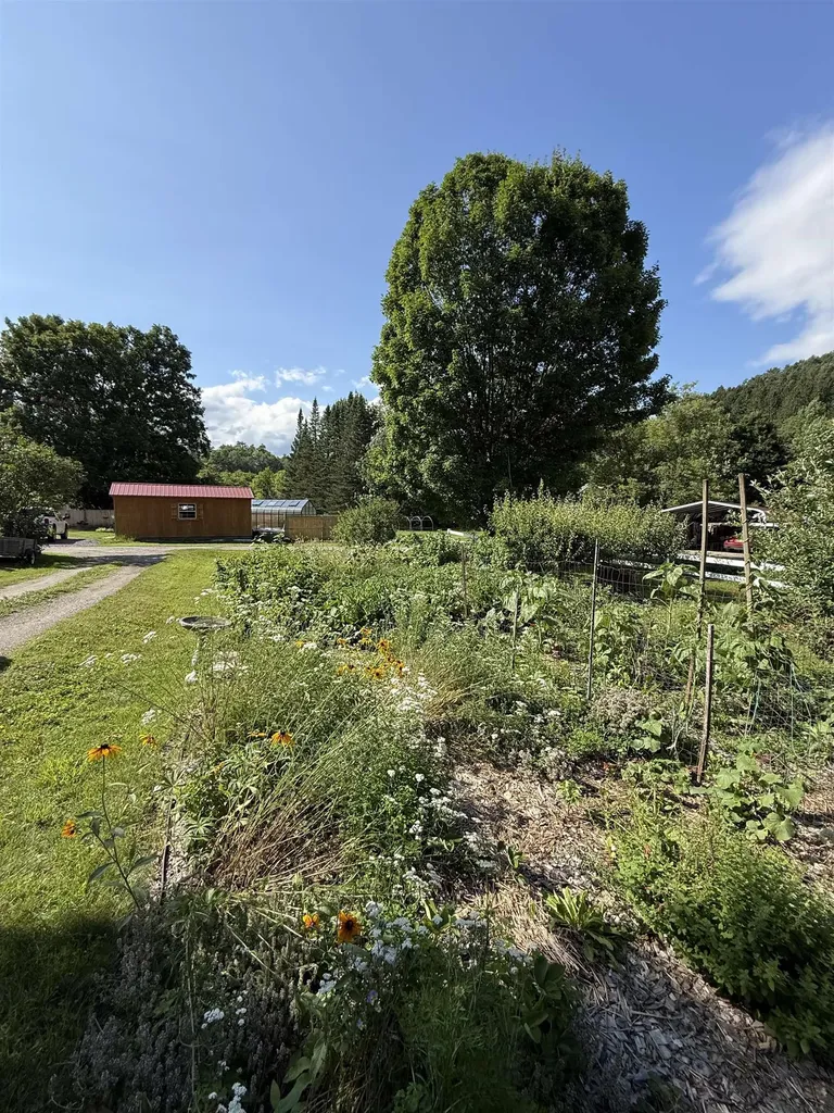 447 Concord Avenue St. Johnsbury VT 05819