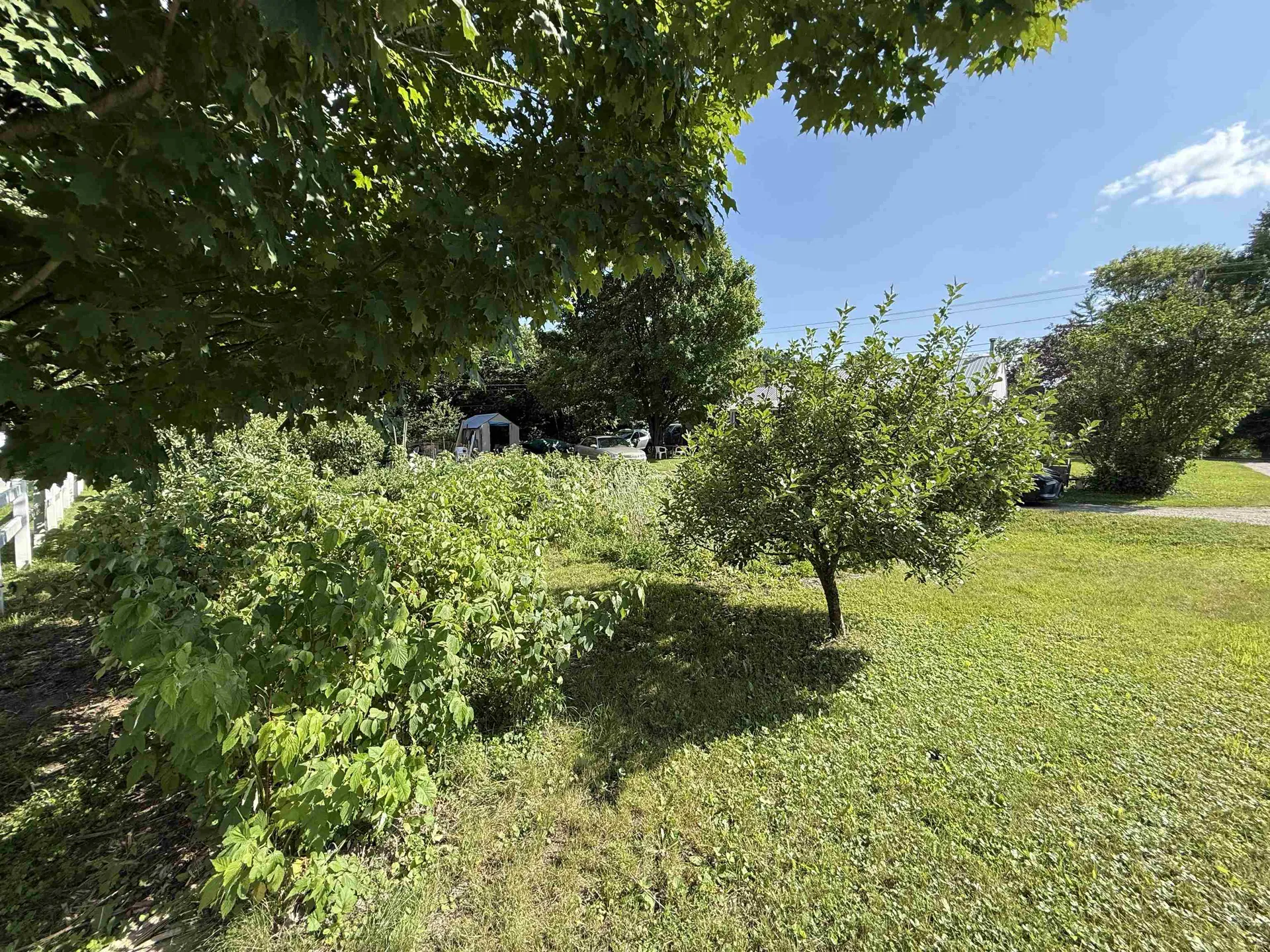 447 Concord Avenue St. Johnsbury VT 05819