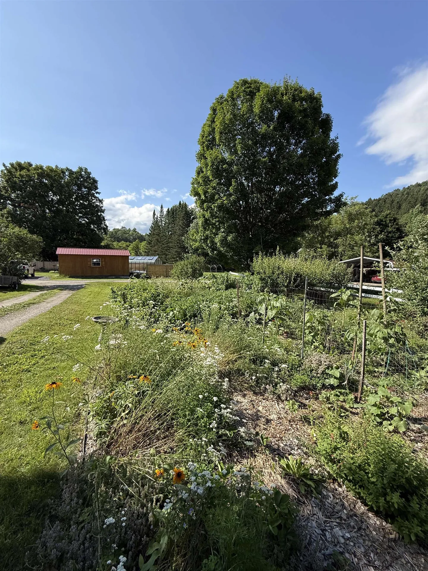 447 Concord Avenue St. Johnsbury VT 05819