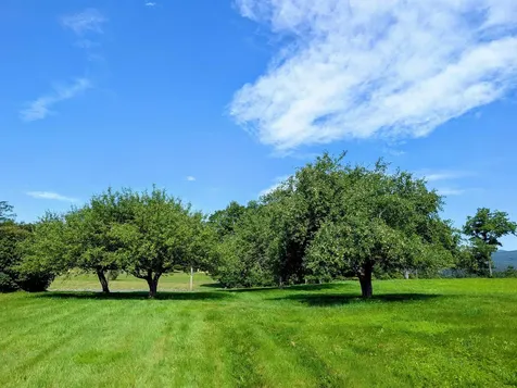 709 Jockey Hill Road Landaff NH 03585