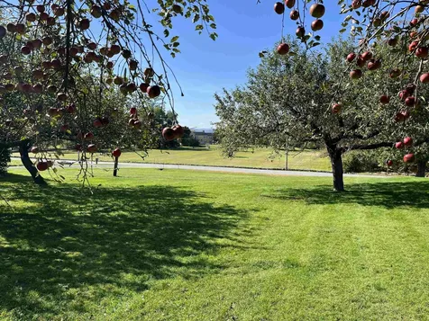 709 Jockey Hill Road Landaff NH 03585
