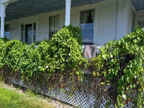 709 Jockey Hill Road Landaff NH 03585