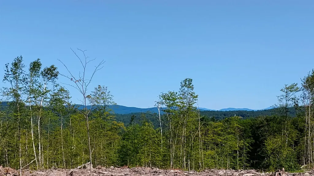 Xx Isaac Colby Road Sanbornton NH 03269