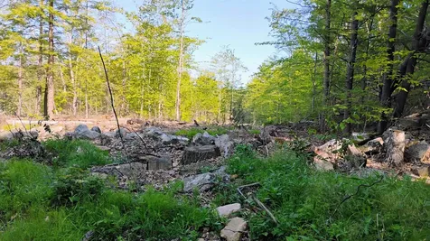 Xx Isaac Colby Road Sanbornton NH 03269